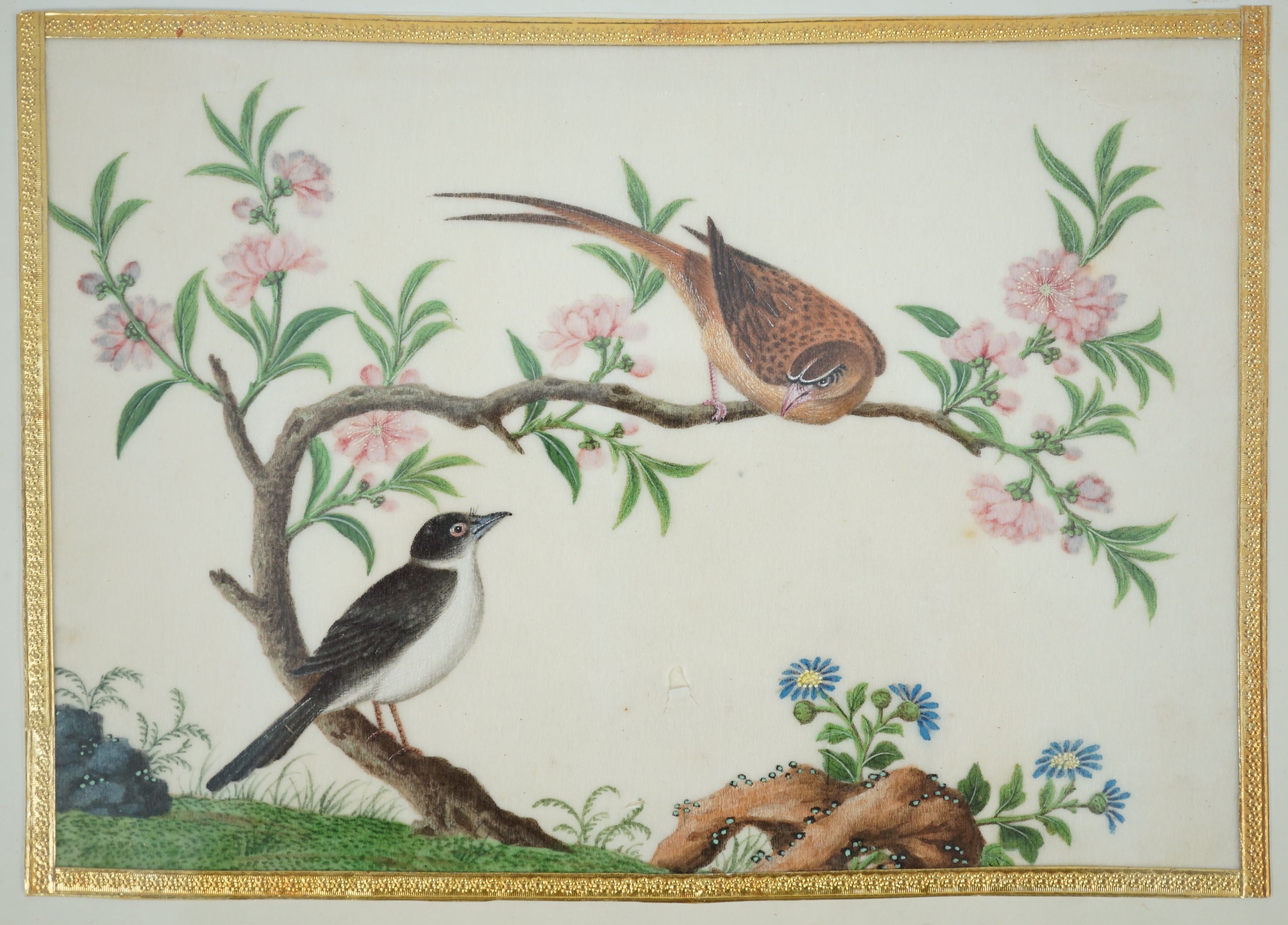 A set of 16 Chinese pith paintings of birds and flowers, mid 19th century, Largest Image 12cm x 18cm